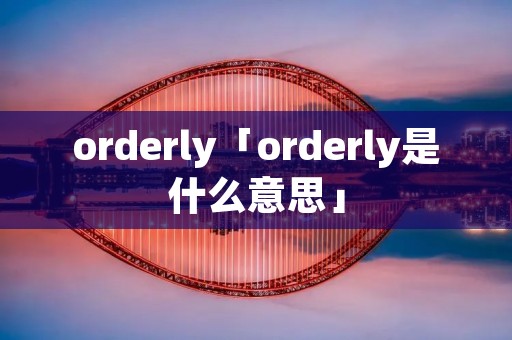orderly「orderly是什么意思」