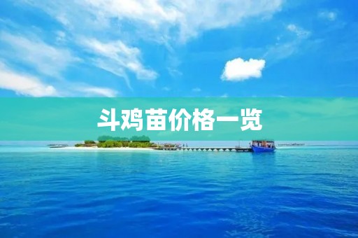 斗鸡苗价格一览:多少钱一只?