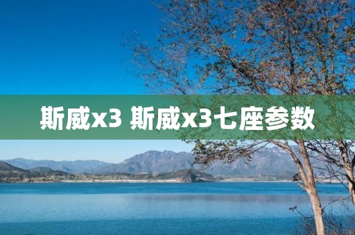 斯威x3 斯威x3七座参数