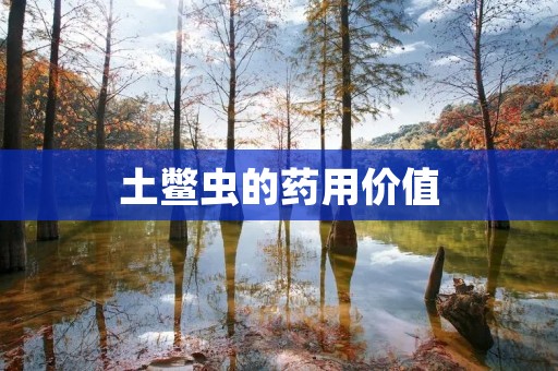 土鳖虫的药用价值