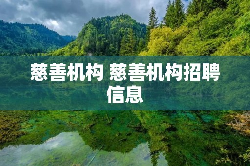 慈善机构 慈善机构招聘信息