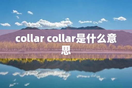 collar collar是什么意思