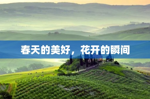 春天的美好,花开的瞬间