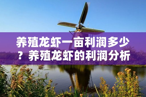 养殖龙虾一亩利润多少?养殖龙虾的利润分析