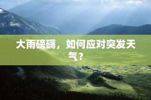 大雨磅礴,如何应对突发天气? 大雨磅礴,如何应对突发天气?