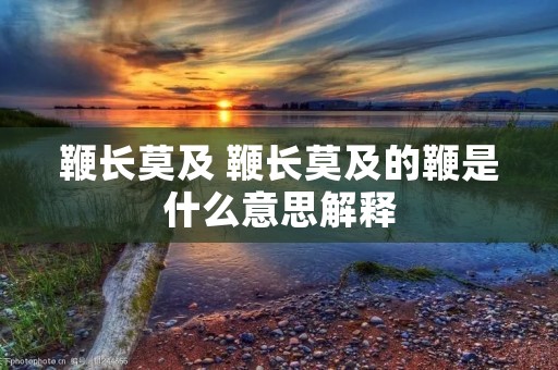 鞭长莫及 鞭长莫及的鞭是什么意思解释 鞭长莫及 鞭长莫及的鞭是什么意思解释