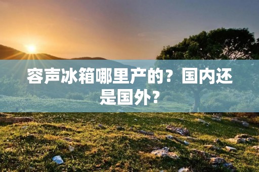 容声冰箱哪里产的？国内还是国外？