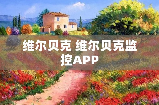 维尔贝克 维尔贝克监控APP