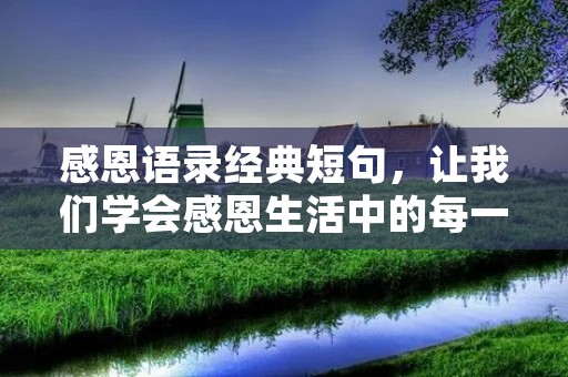 感恩语录经典短句,让我们学会感恩生活中的每一个美好