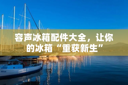 容声冰箱配件大全,让你的冰箱“重获新生” 容声冰箱配件大全,让你的冰箱“重获新生”