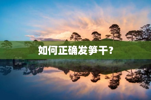 如何正确发笋干? 如何正确发笋干?