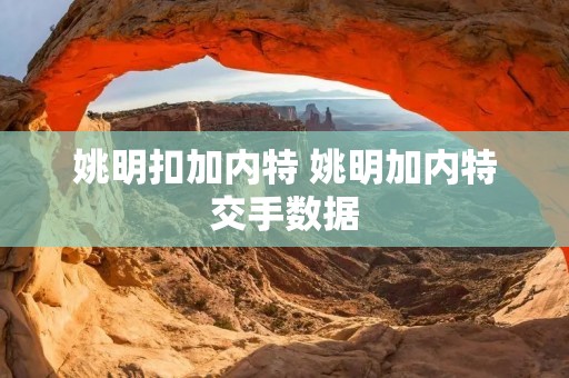 姚明扣加内特 姚明加内特交手数据