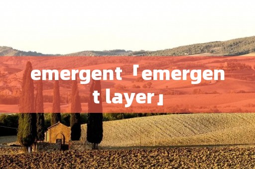 emergent「emergent layer」