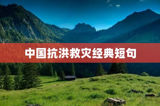 中国抗洪救灾经典短句