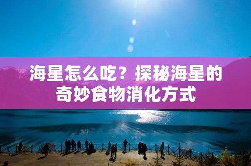海星怎么吃?探秘海星的奇妙食物消化方式 海星怎么吃?探秘海星的奇妙食物消化方式