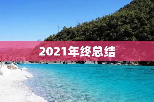 2021年终总结:回顾成长,展望未来