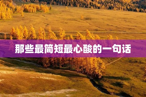 那些最简短最心酸的一句话