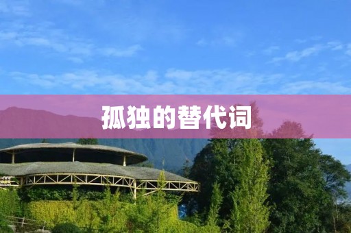 孤独的替代词