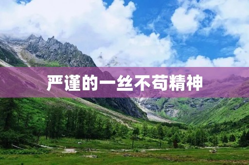 严谨的一丝不苟精神