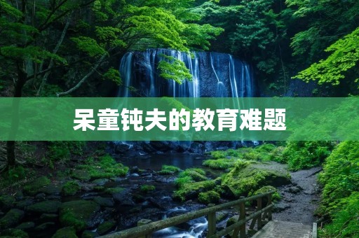 呆童钝夫的教育难题