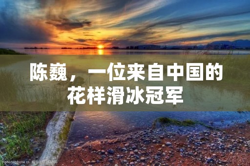 陈巍,一位来自中国的花样滑冰冠军