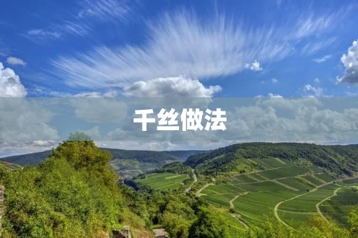 千丝做法:一道美味又简单的菜肴 千丝做法:一道美味又简单的菜肴