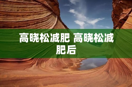 高晓松减肥 高晓松减肥后