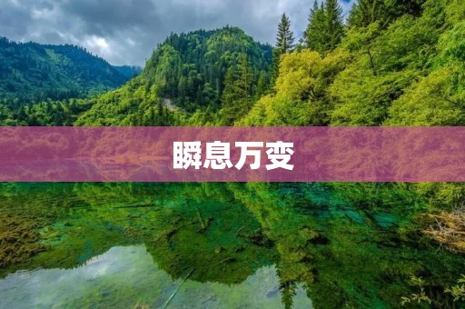 瞬息万变:如何应对快速变化的时代?