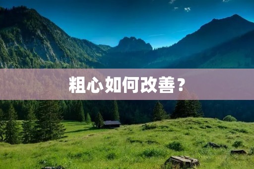 粗心如何改善? 粗心如何改善?
