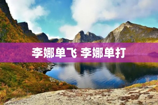李娜单飞 李娜单打
