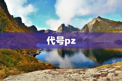 代号pz:揭秘中国最强大的情报机构 代号pz:揭秘中国最强大的情报机构