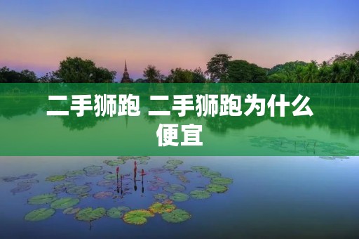 二手狮跑 二手狮跑为什么便宜
