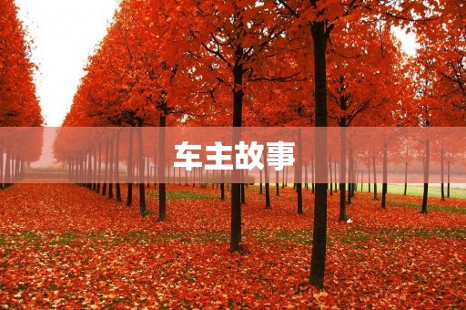 车主故事：我和我的爱车