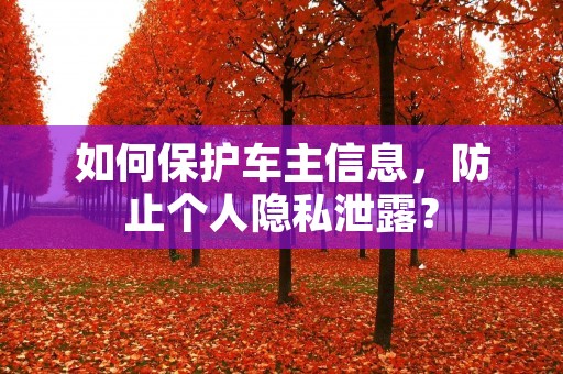 如何保护车主信息,防止个人隐私泄露? 如何保护车主信息,防止个人隐私泄露?