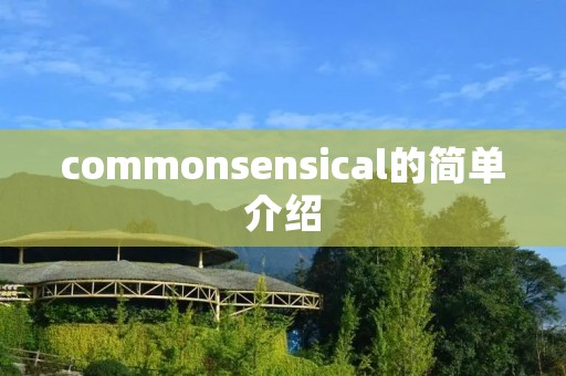 commonsensical的简单介绍