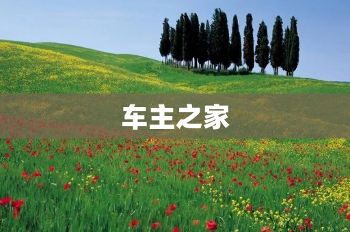 车主之家：为爱车提供全方位服务