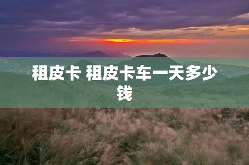 租皮卡 租皮卡车一天多少钱