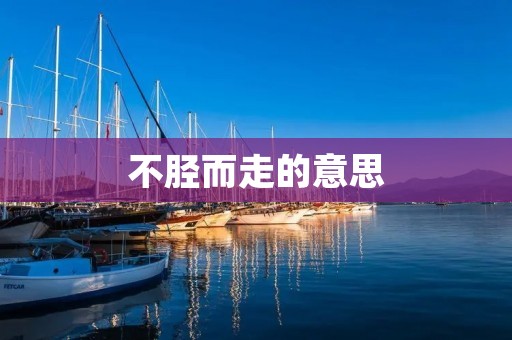 不胫而走的意思:什么是不胫而走?