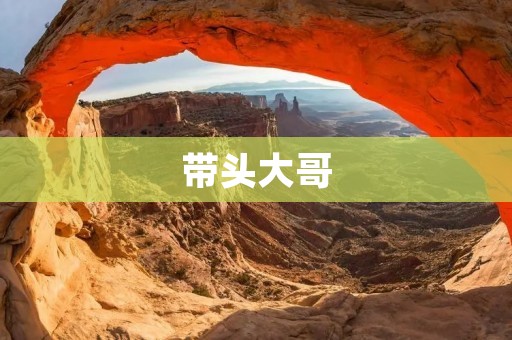 带头大哥:企业中的领袖人物 带头大哥:企业中的领袖人物