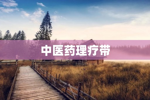 中医药理疗带 中医药理疗带