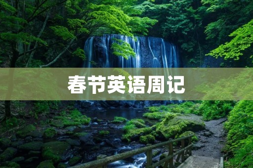 春节英语周记