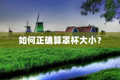 如何正确算罩杯大小？