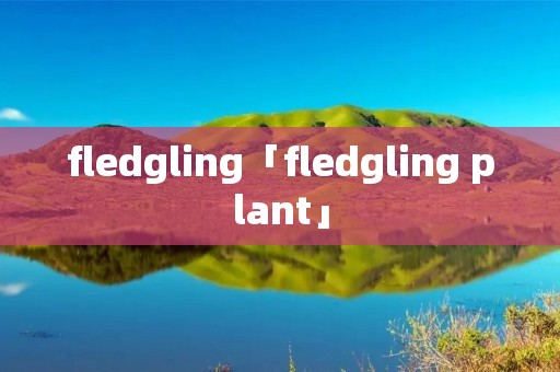 fledgling「fledgling plant」 fledgling「fledgling plant」
