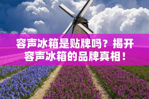 容声冰箱是贴牌吗?揭开容声冰箱的品牌真相! 容声冰箱是贴牌吗?揭开容声冰箱的品牌真相!