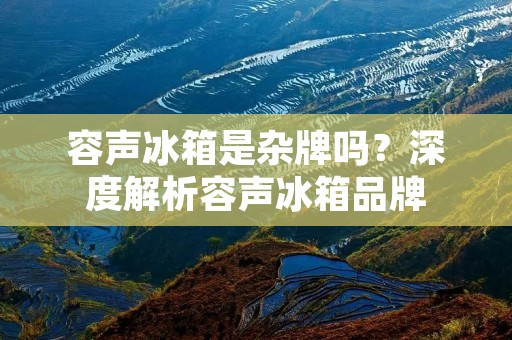 容声冰箱是杂牌吗?深度解析容声冰箱品牌 容声冰箱是杂牌吗?深度解析容声冰箱品牌