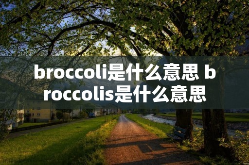 broccoli是什么意思 broccolis是什么意思
