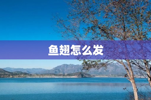 鱼翅怎么发：传统方法与现代技术