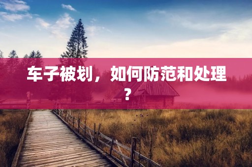 车子被划,如何防范和处理? 车子被划,如何防范和处理?
