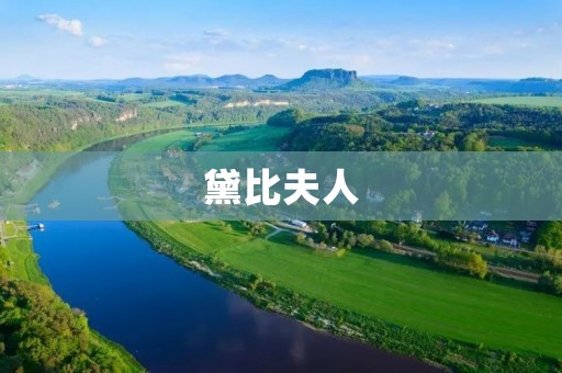 黛比夫人:英国文学中的女性形象 黛比夫人:英国文学中的女性形象