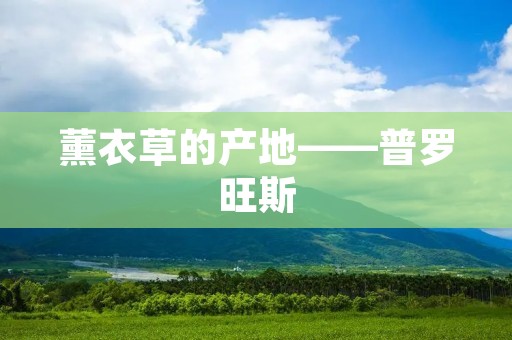 薰衣草的产地——普罗旺斯